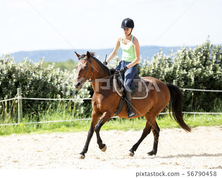 riding girl and horse riding girl and horse 56790458