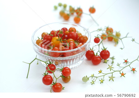 微番茄 微番茄 56790692