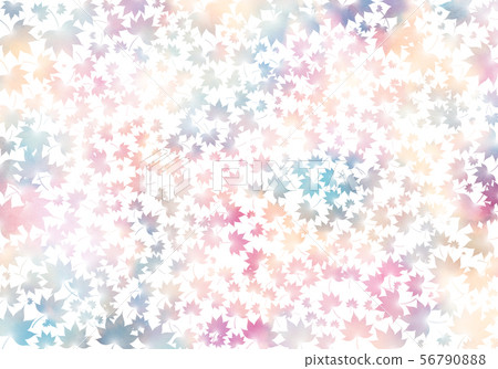 Maple background colorful Maple background colorful 56790888