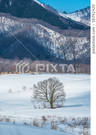 Hiruzen Kogen Winter Snow Hiruzen Kogen Winter Snow 56791420