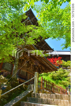 Ichijoji三塔國寶 Ichijoji三塔國寶 56791806
