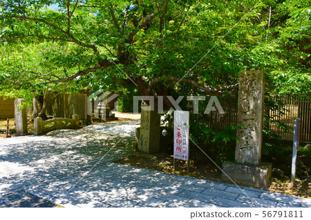 Ichijoji Sankoku 33個地方 56791811