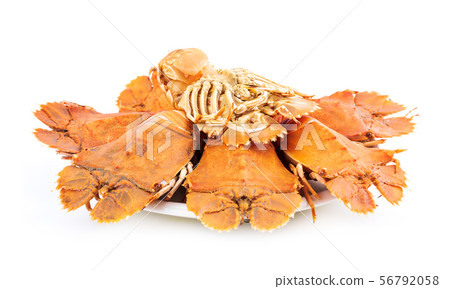 Steamed flathead lobsters on white background Steamed flathead lobsters on white background 56792058