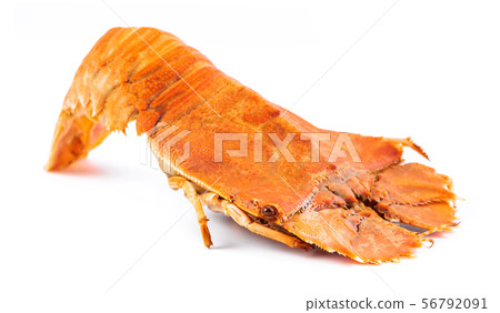 Steamed flathead lobsters on white background Steamed flathead lobsters on white background 56792091