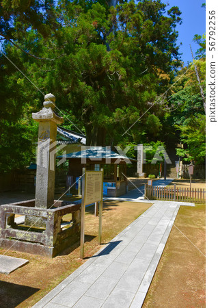 Ichijoji石卡薩托塔 56792256
