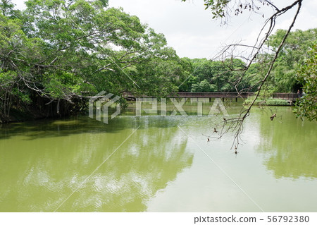 A park with a river A park with a river 56792380