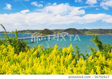 Tsunoshima Autumn Tsunoshima Autumn 56792627