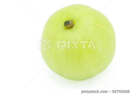 Indian gooseberry, amla green fruits isolated on 56792686