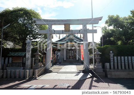 酒井神社（大阪市生野區） 56793043
