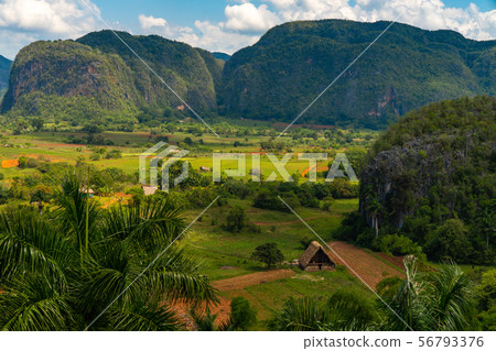 Vinales Valley site in Pinar del Rio of Cuba 56793376