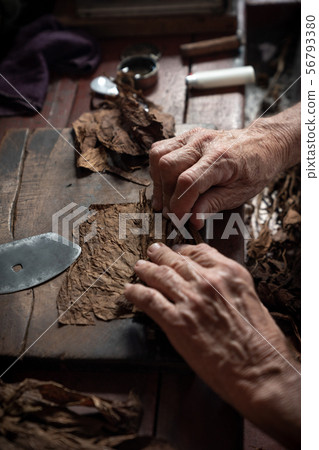Cigar rolling or making by torcedor in cuba 56793380