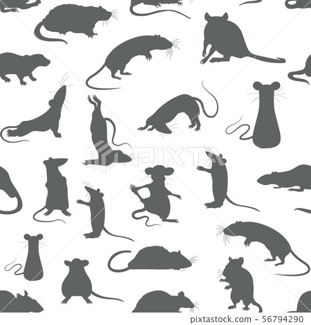 Rats seamless pattern. Rat poses and exercises. Rats seamless pattern. Rat poses and exercises. 56794290