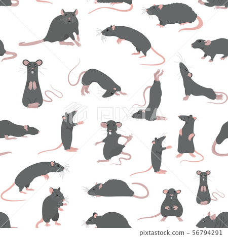 Rats seamless pattern. Rat poses and exercises. Rats seamless pattern. Rat poses and exercises. 56794291