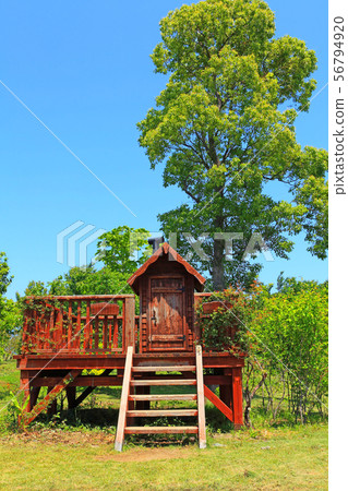 A cute hut wrapped in green A cute hut wrapped in green 56794920