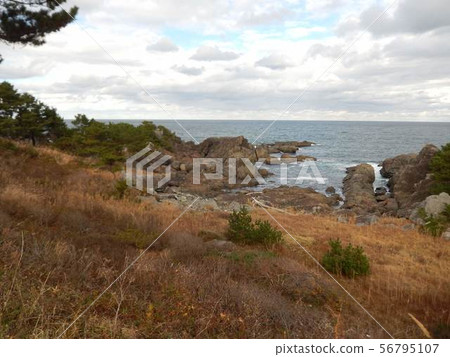Hachinohe Tanesashi Coast 56795107