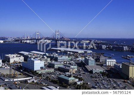（神奈川縣）從橫濱海洋塔，山下碼頭和海灣大橋觀看 56795124