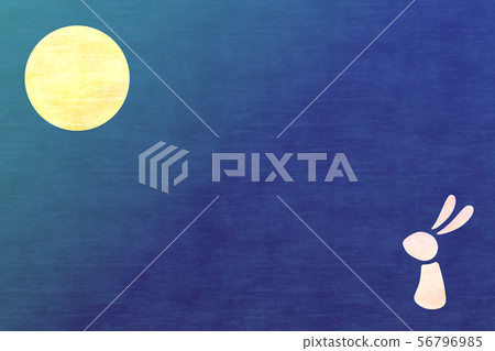 Moon view rabbit 56796985