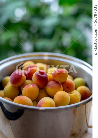 Plum juice making Plum juice making 56797035