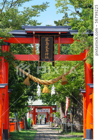Higashi Torii Ikushima Ashida Shrine (Ueda City) 56799225