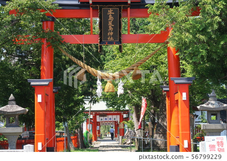 Higashi Torii Ikushima Ashida Shrine(上田市) Higashi Torii Ikushima Ashida Shrine(上田市) 56799229