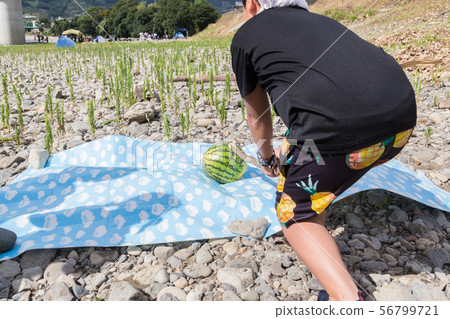 Watermelons Watermelons 56799721