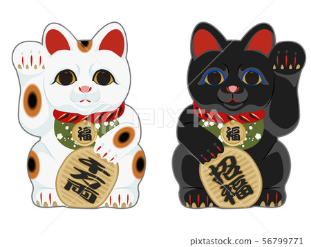幸運貓 56799771