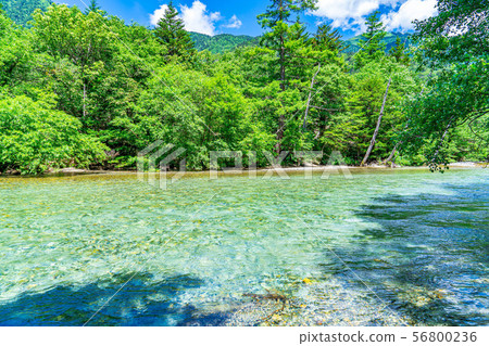 Kamikochi in summer River scenery [Nagano Prefecture] 56800236