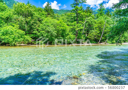 Kamikochi in summer River scenery [Nagano Prefecture] 56800237