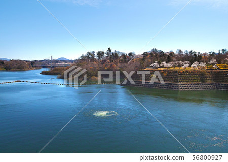 [Fukushima] Miharu Dam (Lake Sakura) 56800927