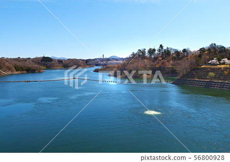 [Fukushima] Miharu Dam (Lake Sakura) 56800928