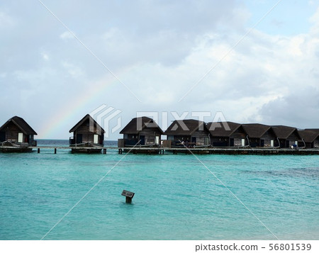 馬爾代夫度假勝地 56801539