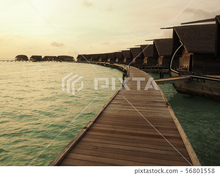 Maldives resort Maldives resort 56801558