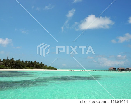 馬爾代夫度假勝地 馬爾代夫度假勝地 56801664