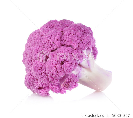 Purple brassica oleracea isolated on white 56801807