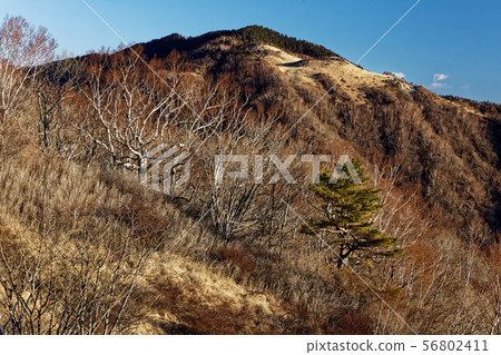 Mount Kasumigasuri seen from the vicinity of Oiso Rengo and Hamiba Maru Mount Kasumigasuri seen from the vicinity of Oiso Rengo and Hamiba Maru 56802411