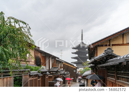 雨中的京都Hokanji（八坂塔） 56802572
