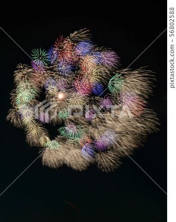 煙花38 煙花38 56802588