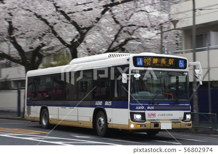 中野大道(新藍絲帶)上的京王巴士東 中野大道(新藍絲帶)上的京王巴士東 56802974