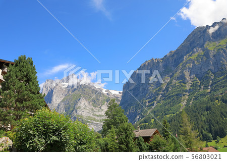 格林德瓦,瑞士風景 格林德瓦,瑞士風景 56803021