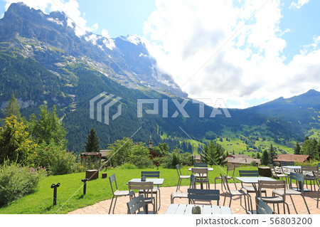 Summer view of Grindelwald, Switzerland 56803200