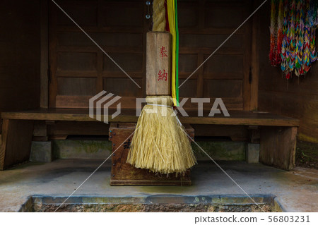 秋色的埼玉飯能東鄉公園（秩父禦岳神社） 56803231