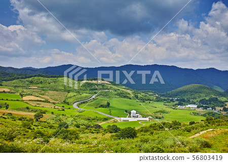 Onogahara Onogahara 56803419