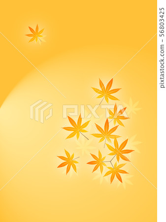 秋葉例證 56803425