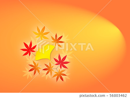 秋葉例證 秋葉例證 56803462