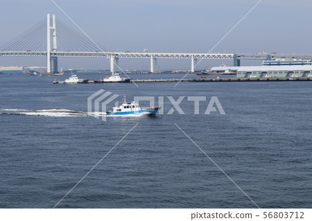 Yokohama Port and Bay Bridge Yokohama Port and Bay Bridge 56803712