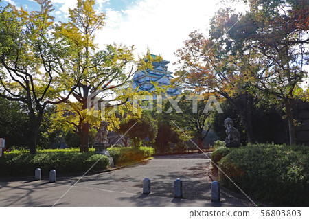 秋天的大阪城公園 秋天的大阪城公園 56803803