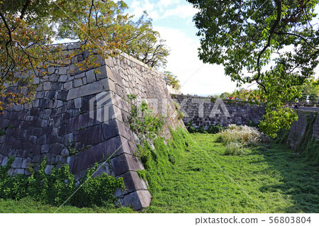 Osaka Castle / Honmaru Ishigaki Osaka Castle / Honmaru Ishigaki 56803804