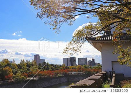 Autumn Osaka Castle Park 56803990