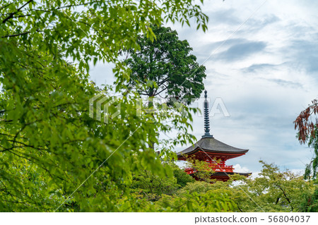 Kiyomizu-dera tower in summer Kiyomizu-dera tower in summer 56804037