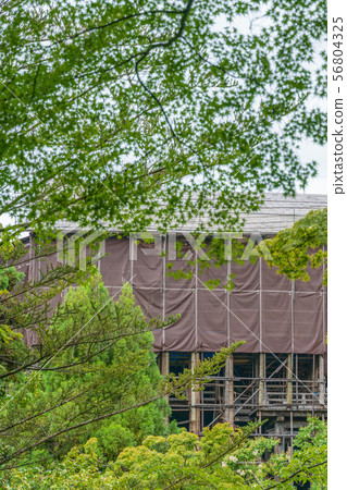 Kiyomizu-dera主要大廳正在裝修，夏天 56804325